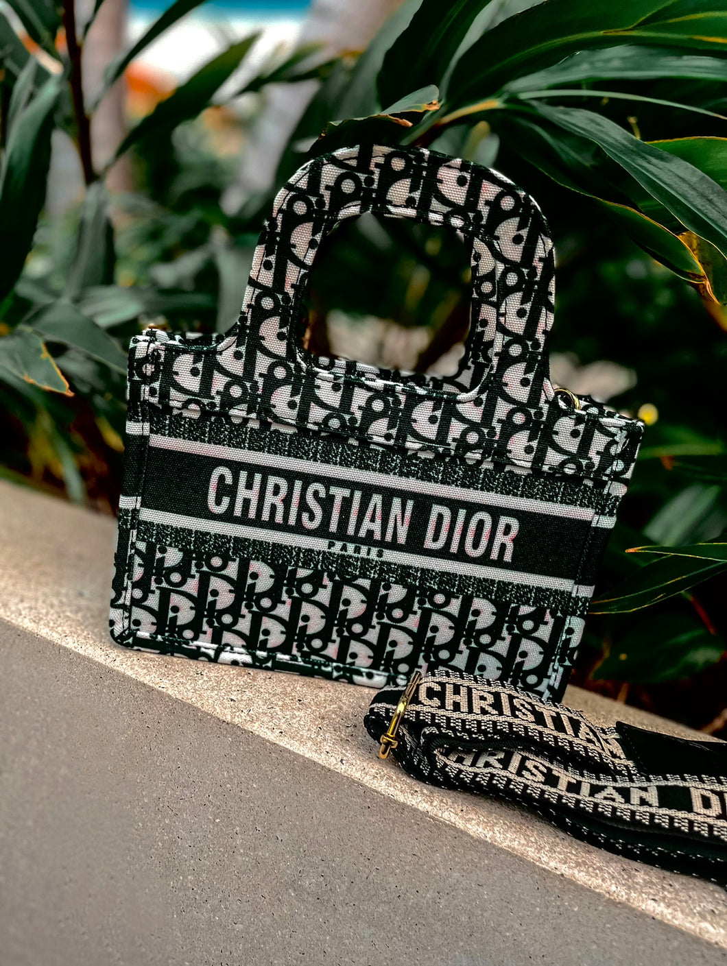 Diorr Inspired Mini Book Bag